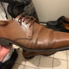 スコッチグレイン　SCOTCH GRAIN 茶革靴 の画像