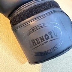 美品❗️ボクシンググローブの画像