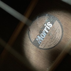 モーリスmorris ギターの画像