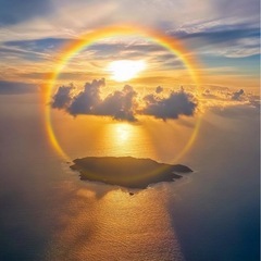 萱田南小学校学区内に住んでる方