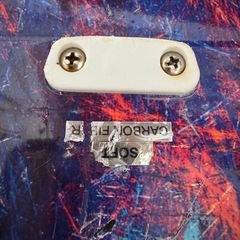 リーダーフィンの画像