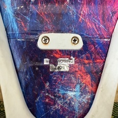 リーダーフィンの画像