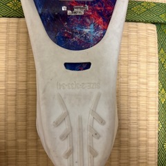 リーダーフィンの画像