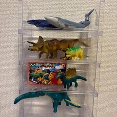 トミカ棚・アニア棚の画像