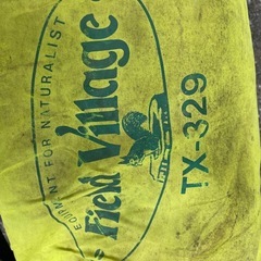 たぶんタープの画像