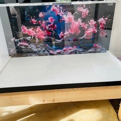 美品✨  アクリル水槽　1200×500×500 水槽台　の画像