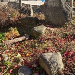 庭石を無料で差し上げます（大きい石あり）の画像