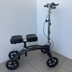 補助歩行器 アメリカ 