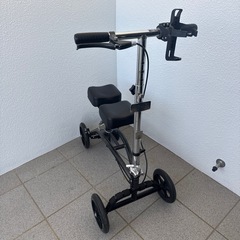 補助歩行器 アメリカ の画像