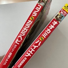 どっちが強い！？の画像