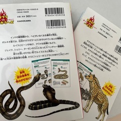 どっちが強い！？の画像