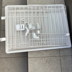 小型犬　げーゲージの画像