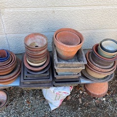 植木鉢　いろいろ　無料の画像