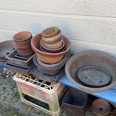 植木鉢　いろいろ　無料の画像