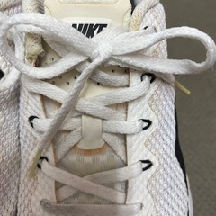 Nike メトコン レッパーDSXの画像