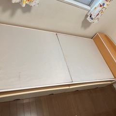 シングルベット　キャンペーンの画像