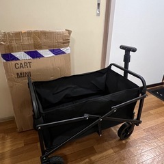 【室内保管】キャリーワゴン キャリーカート ゴロゴロ　土日限定の画像