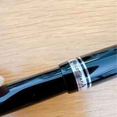 WATERMAN•PILOT万年筆✒️の画像