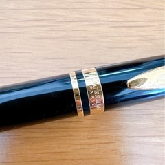 WATERMAN•PILOT万年筆✒️の画像