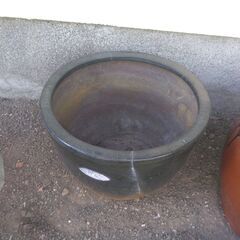 メダカを入れていた鉢の画像