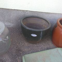 メダカを入れていた鉢の画像