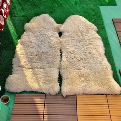 ムートン　　２枚組の画像