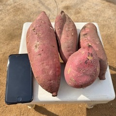 無農薬さつまいもの画像