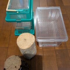 カブトムシ・クワガタムシ飼育用品の画像