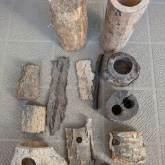 カブトムシ・クワガタムシ飼育用品の画像