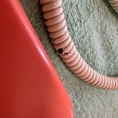 ペット　暖房マットの画像