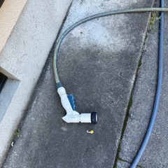 決まりました ホース リールの画像