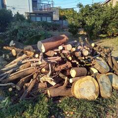 薪　無料です　ストーブ　クラフト　工作　等にいかがですかの画像