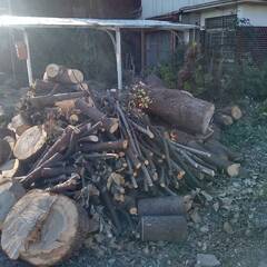 薪　無料です　ストーブ　クラフト　工作　等にいかがですかの画像