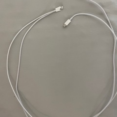 充電器&USBポート(Apple純正品)の画像