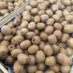⑫キウイ50個(無農薬)の画像