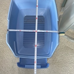 猫　トイレの画像