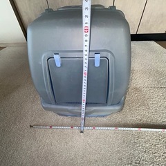 猫　トイレの画像