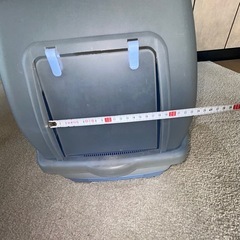 猫　トイレの画像