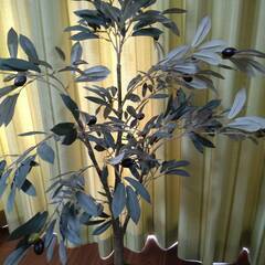 人工観葉植物  フェイクグリーンの画像