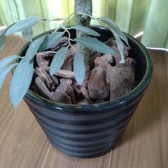 人工観葉植物  フェイクグリーンの画像