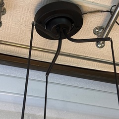 家庭用吊り下げ型照明器具の画像