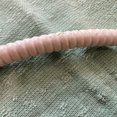 ペット　暖房マットの画像