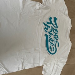 マカロニえんぴつ　ライブＴの画像