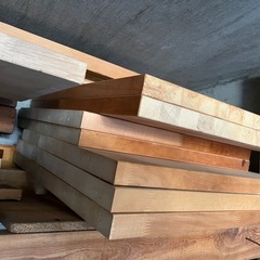 木材各種の画像