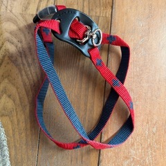 小型犬用ハーネスの画像
