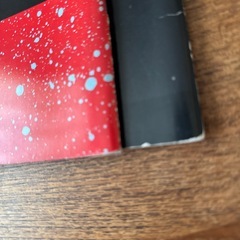 ローリングストーンズ　ミックジャガーパンフレット2冊の画像