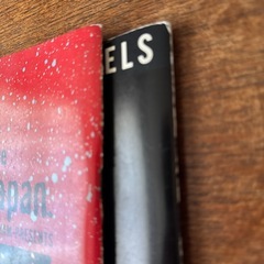 ローリングストーンズ　ミックジャガーパンフレット2冊の画像