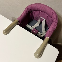 【テーブル・ビブドレス付】イングリッシーナ　テーブルチェアの画像