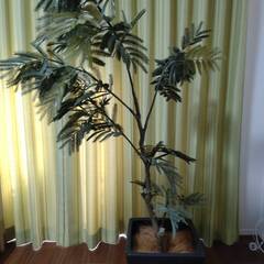 人工観葉植物　フェイクグリーンの画像