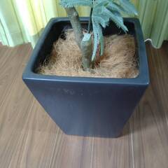 人工観葉植物　フェイクグリーンの画像